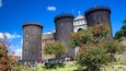 A historic castle with multiple towers and a central dome, surrounded by lush greenery and a clear blue sky.
