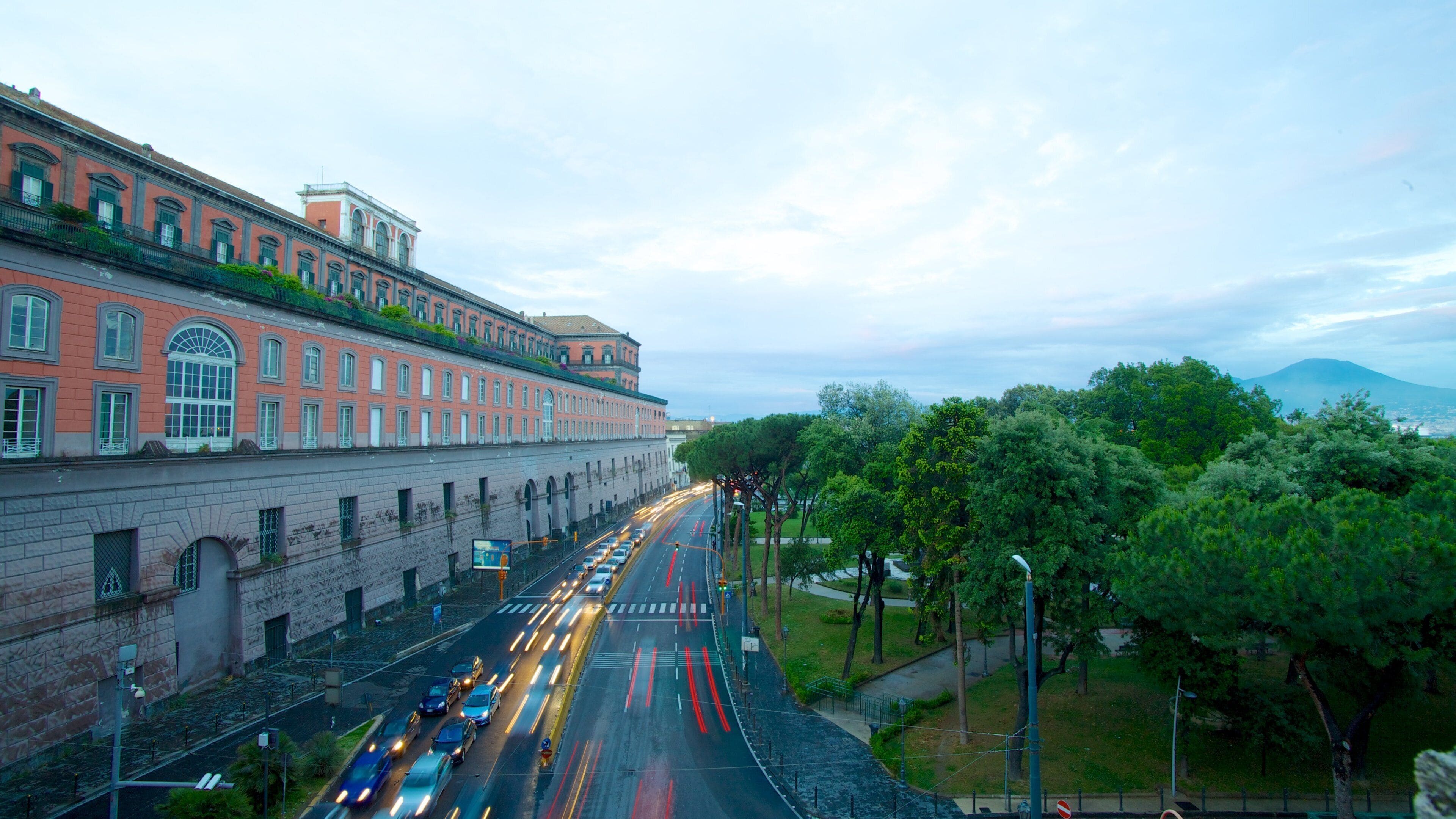 Royal Palace featuring street scenes