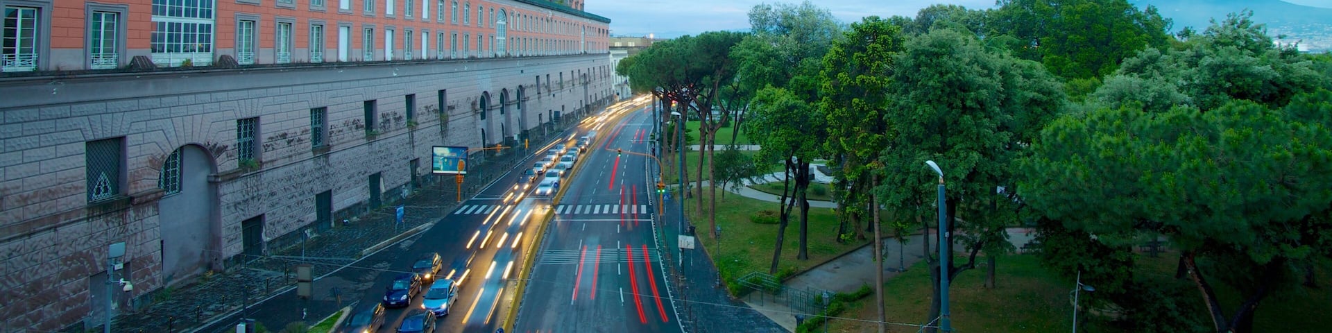 Royal Palace featuring street scenes