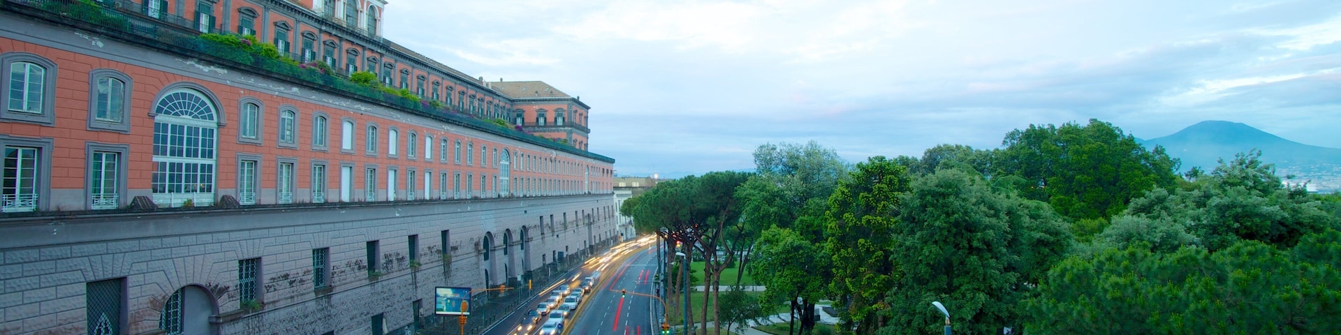 Royal Palace featuring street scenes