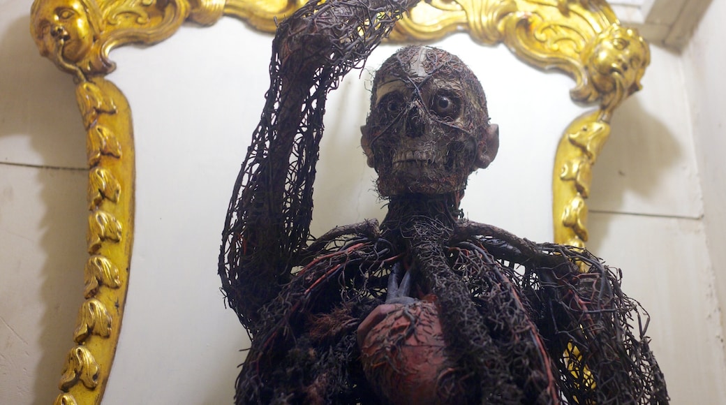 Sansevero Chapel which includes a church or cathedral, religious elements and interior views