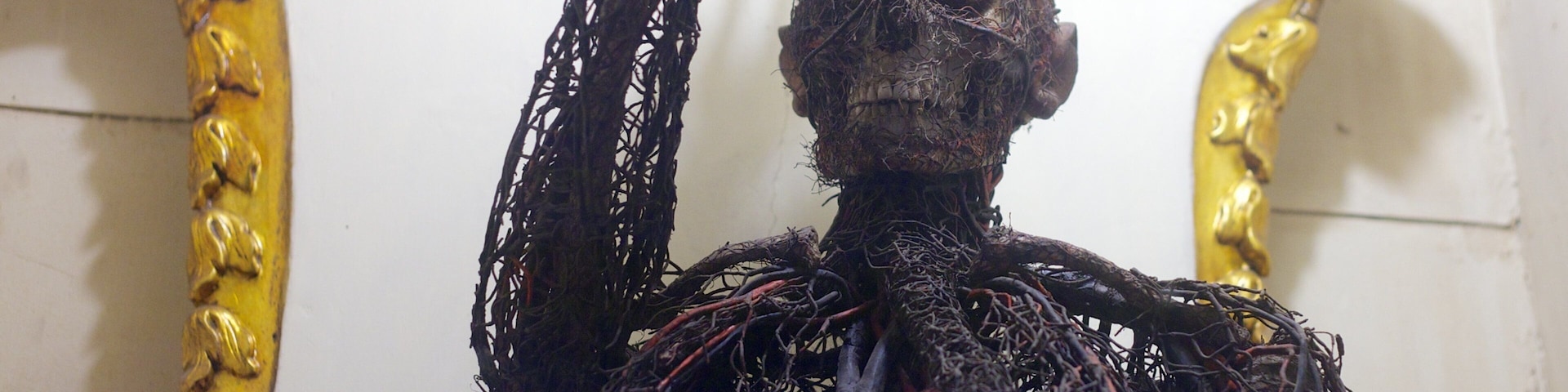 La Cappella Sansevero mostrando aspectos religiosos, vista interna y una iglesia o catedral