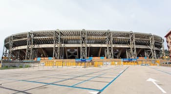 Naples_StadioSanPaolo_6077730_1