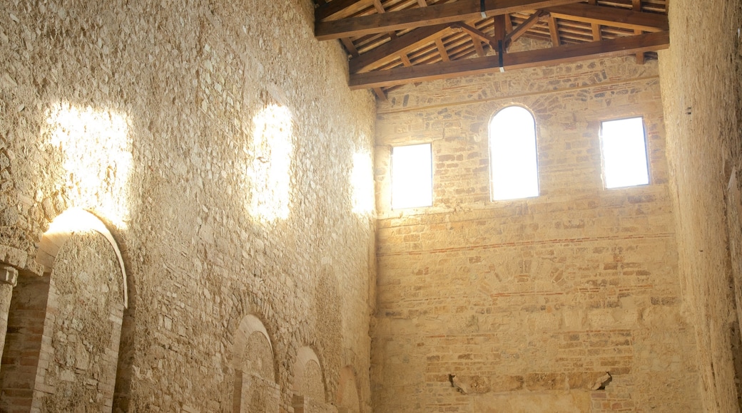 Basilica of San Salvatore which includes interior views and heritage architecture