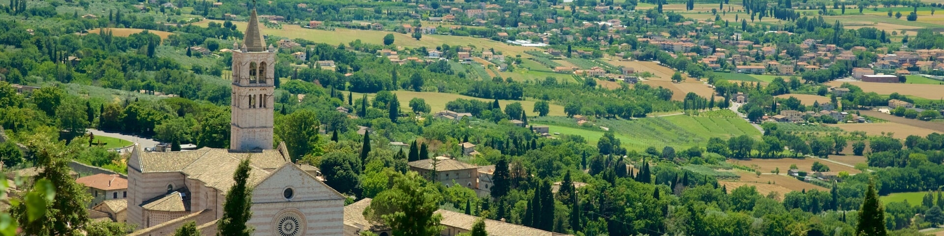 Basilica di Santa Chiara mostrando fazenda, uma igreja ou catedral e paisagem