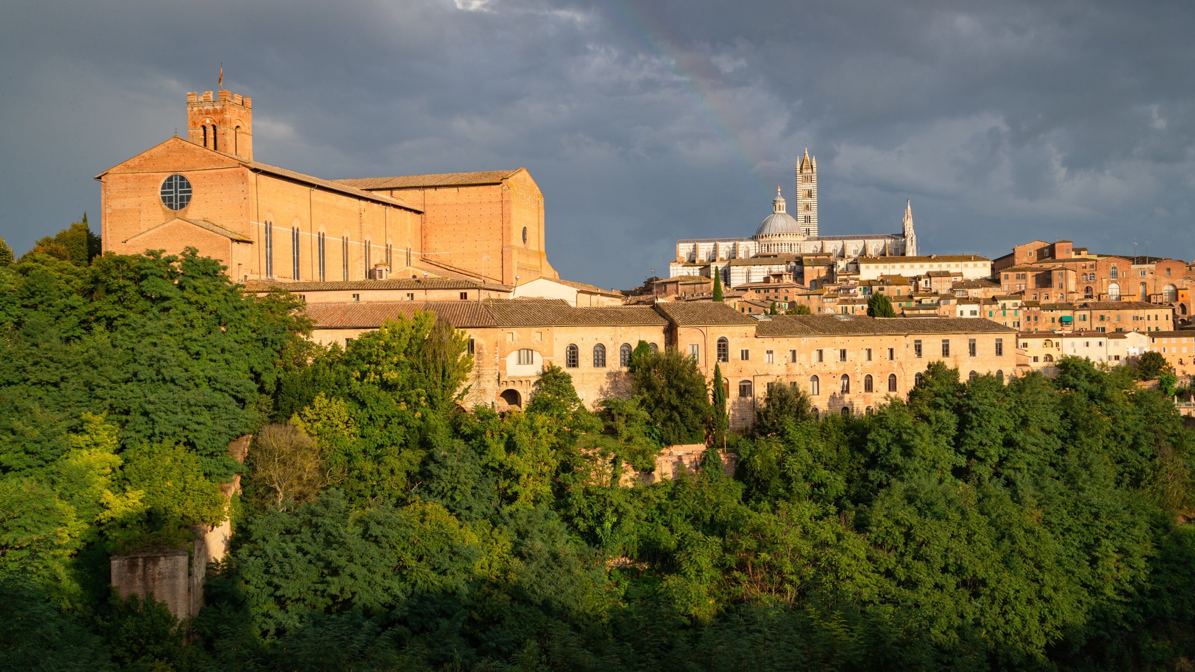 Basilica di San Domenico showing a city and landscape views