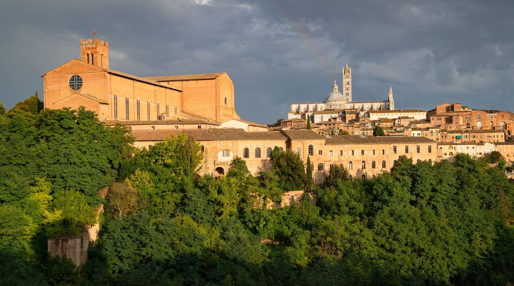 Basilica di San Domenico showing a city and landscape views