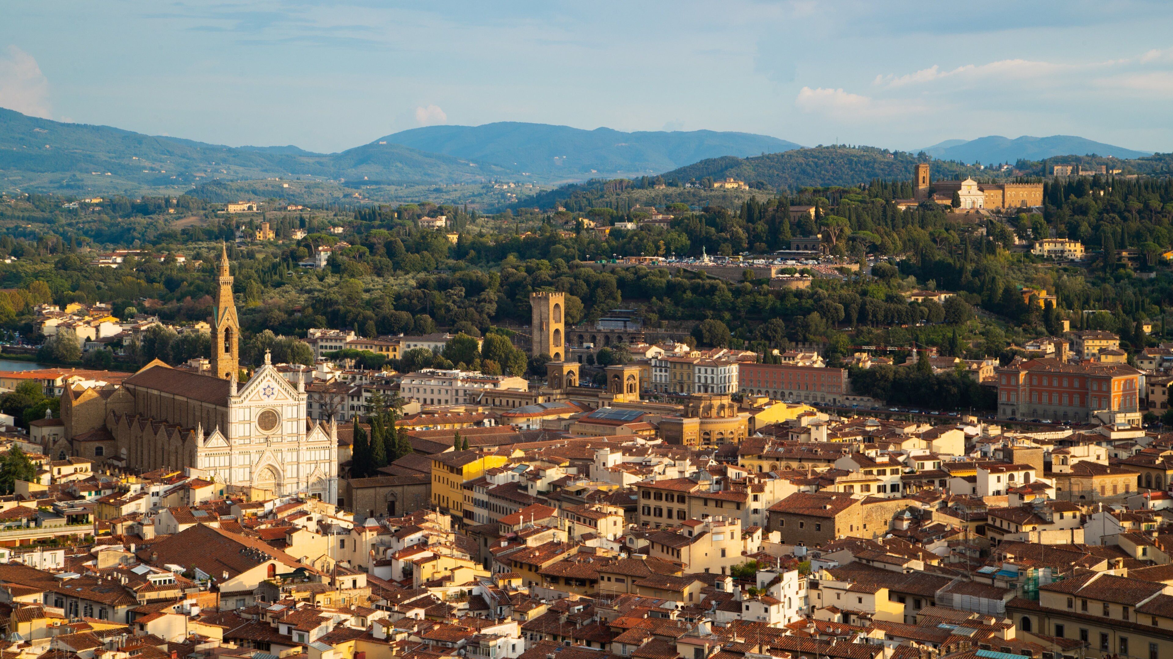 Basilica di Santa Maria dei Servi showing landscape views and a city