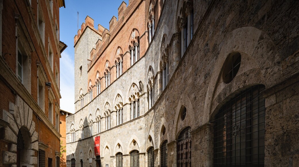 Palazzo Chigi-Saracini