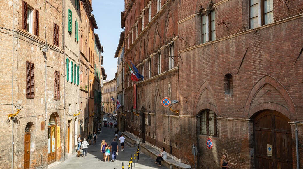 Pinacoteca Nazionale showing a city