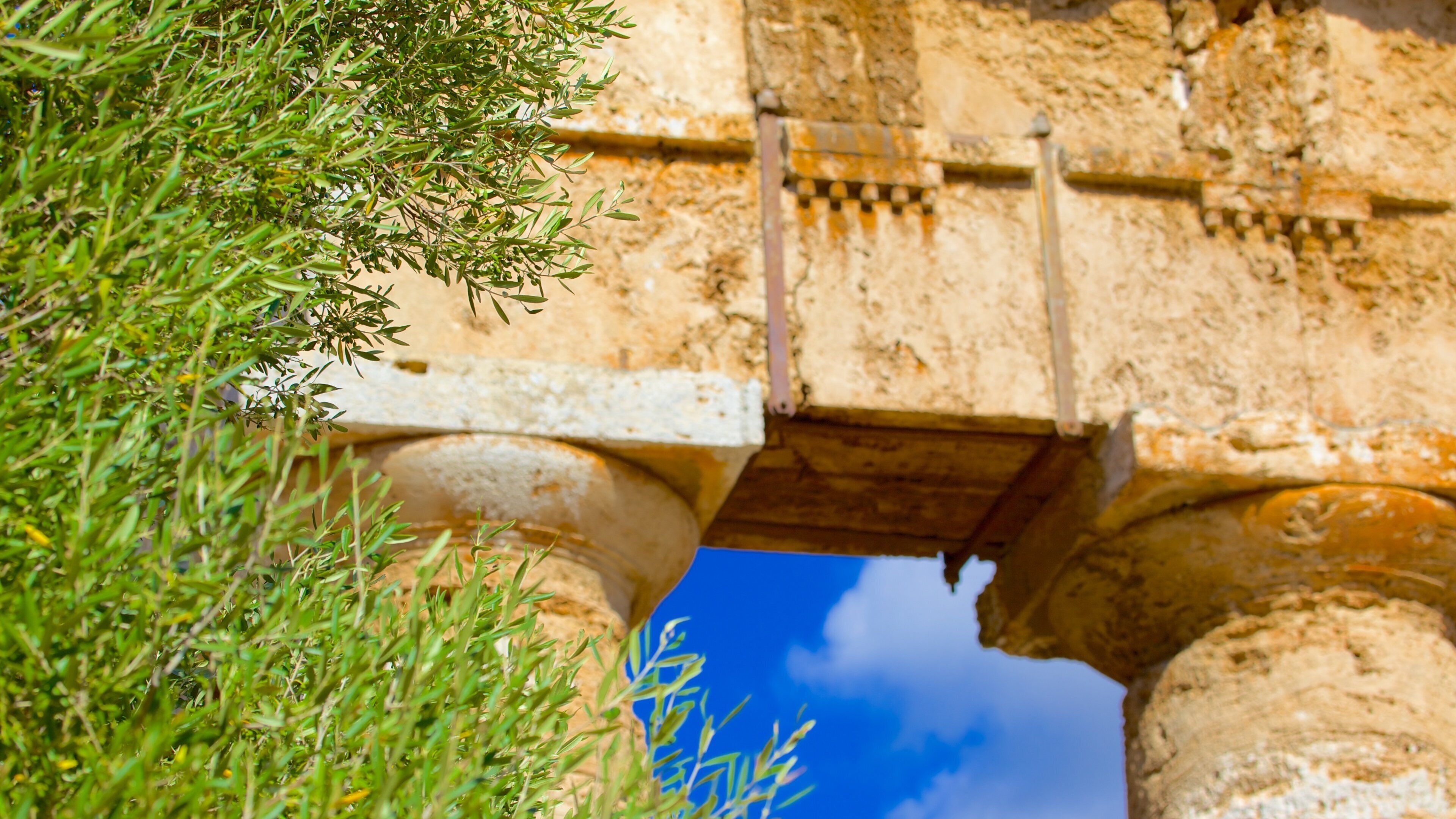 Templo griego de Segesta mostrando una ruina y elementos del patrimonio