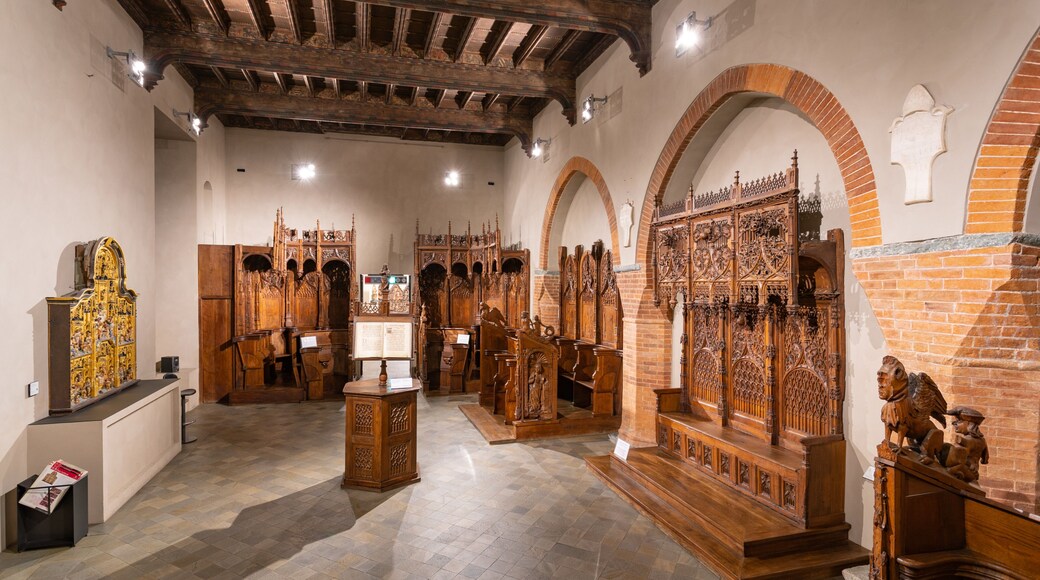 Turin Palazzo Madama which includes interior views