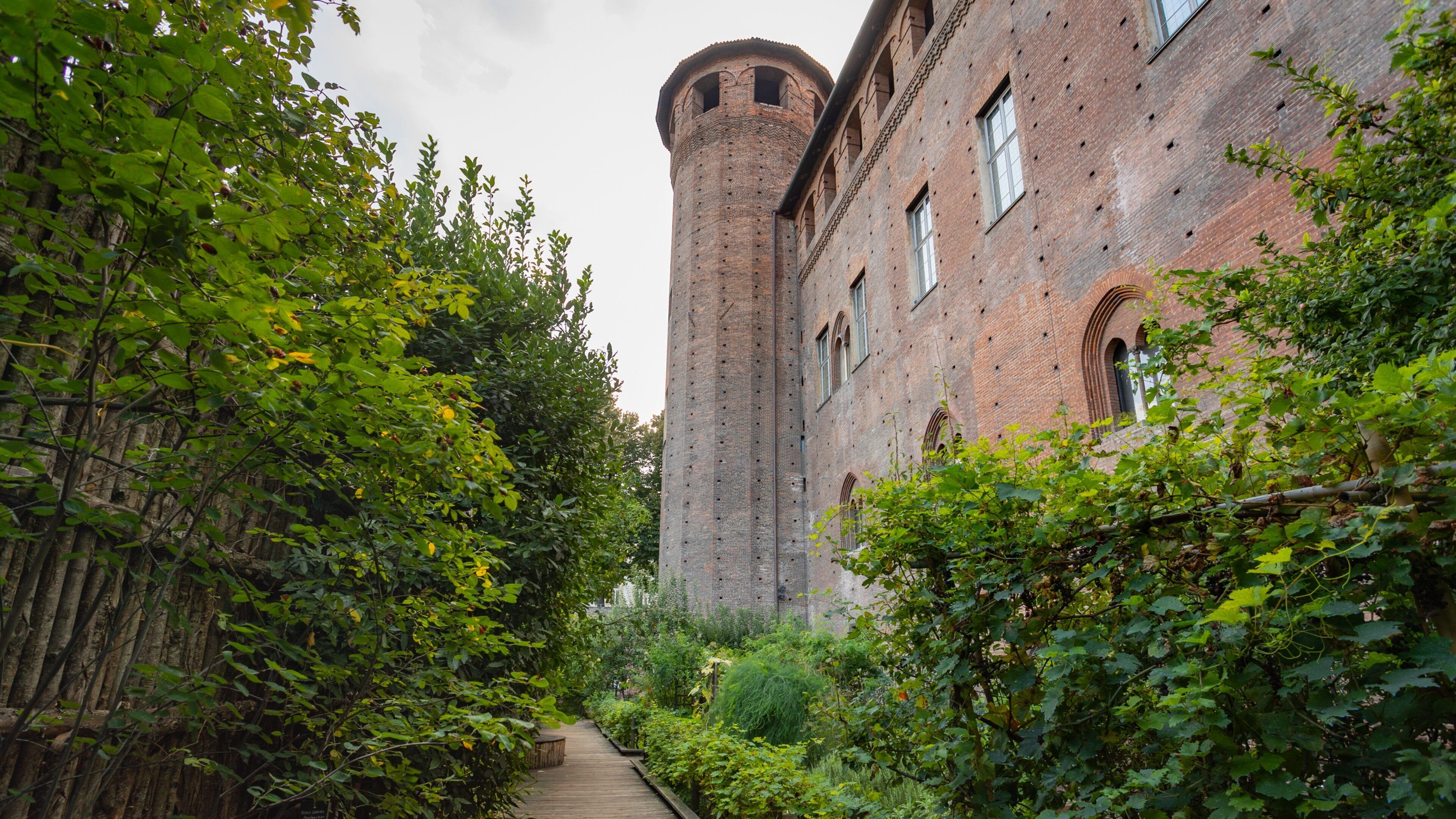 Turin Palazzo Madama featuring heritage elements