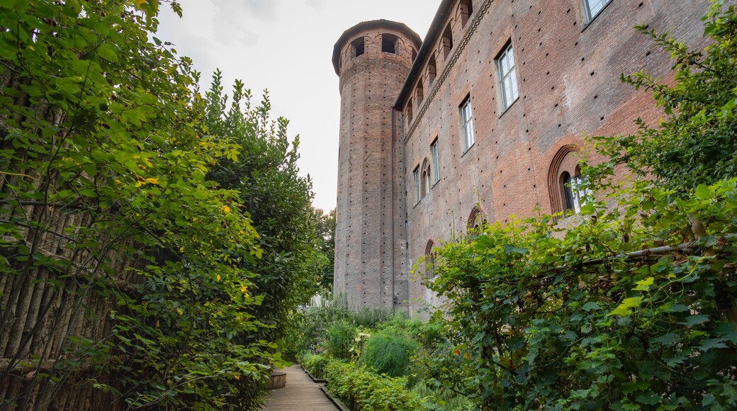 Turin Palazzo Madama featuring heritage elements