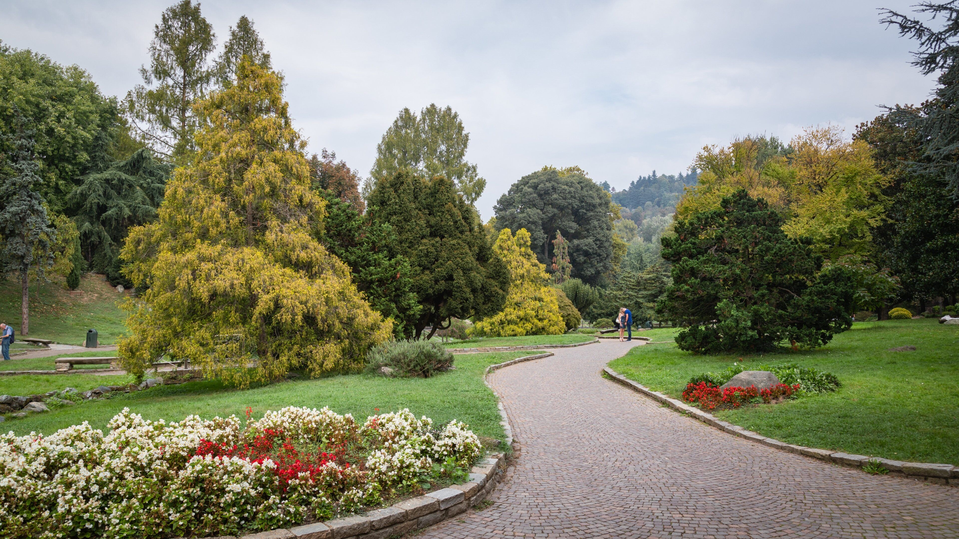 Valentino Park which includes a park and wildflowers