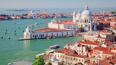 Basilica di Santa Maria della Salute which includes religious elements, general coastal views and a church or cathedral