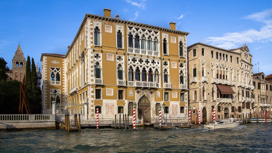 Palazzo Cavalli Franchetti, Venice