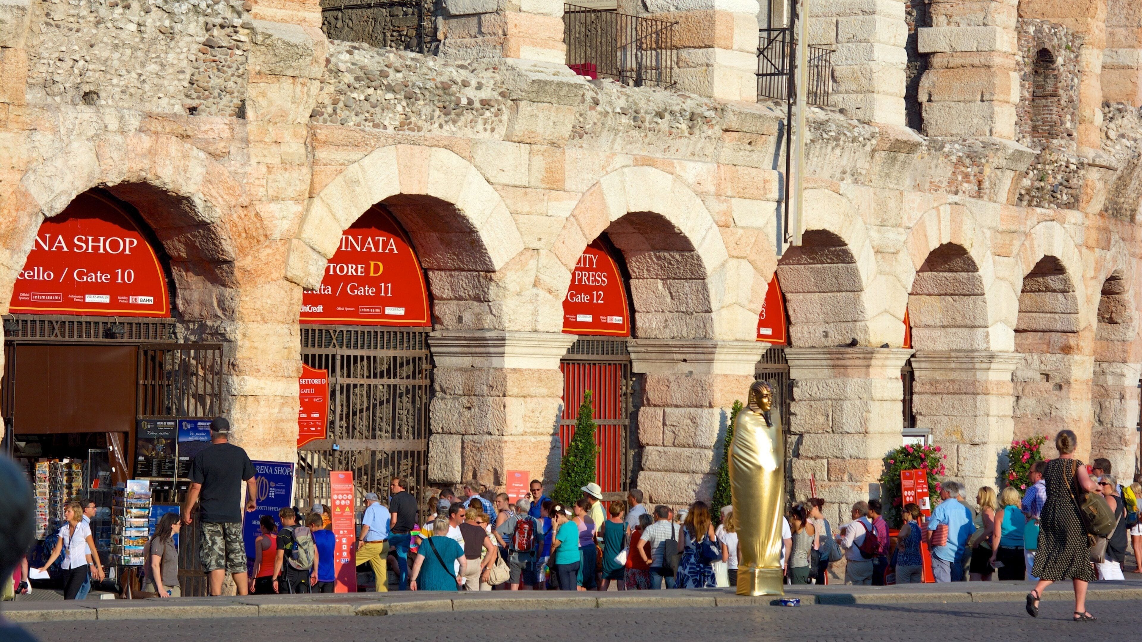 Verona Arena featuring a city, a ruin and heritage architecture