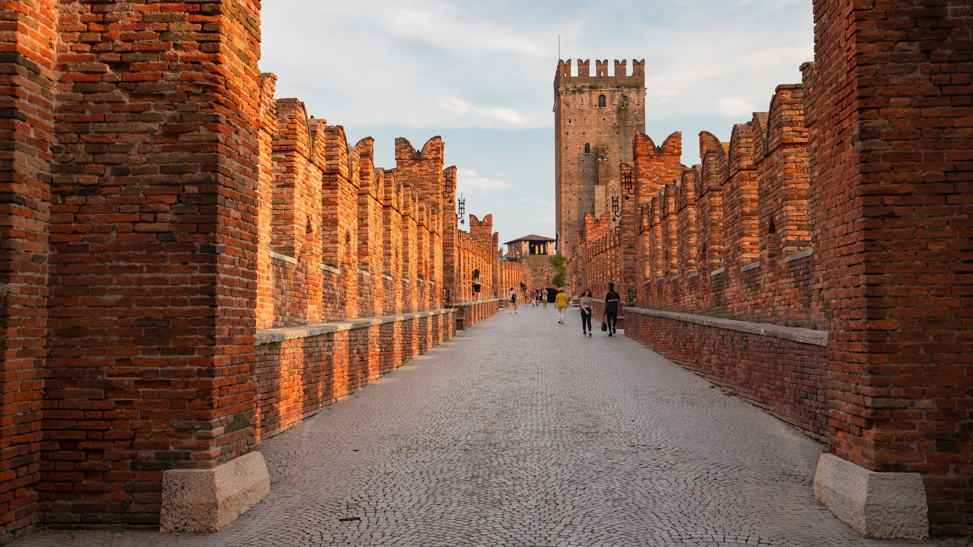 Ponte Scaligero showing a bridge and heritage architecture