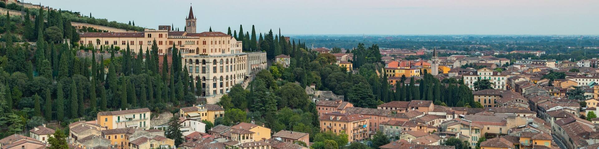 A historic town with a prominent church and castle on a hill, surrounded by dense greenery and traditional buildings.