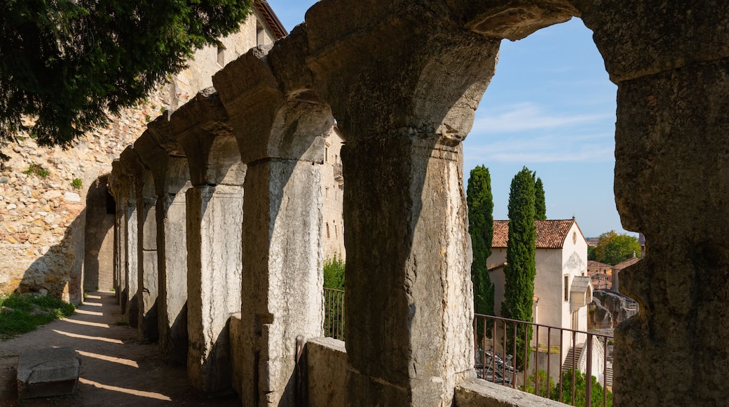 Verona Archeological Museum showing heritage elements