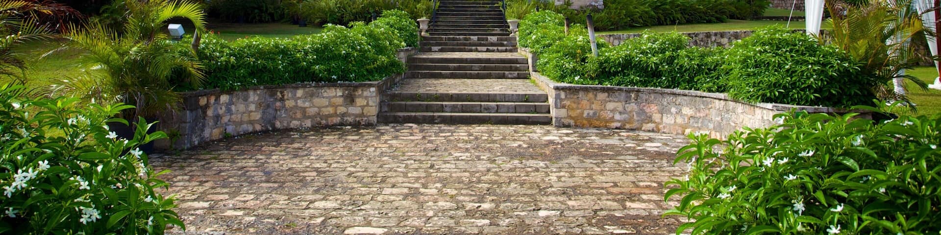 A large colonial-style building with a central staircase leading to a door, surrounded by lush gardens and palm trees.