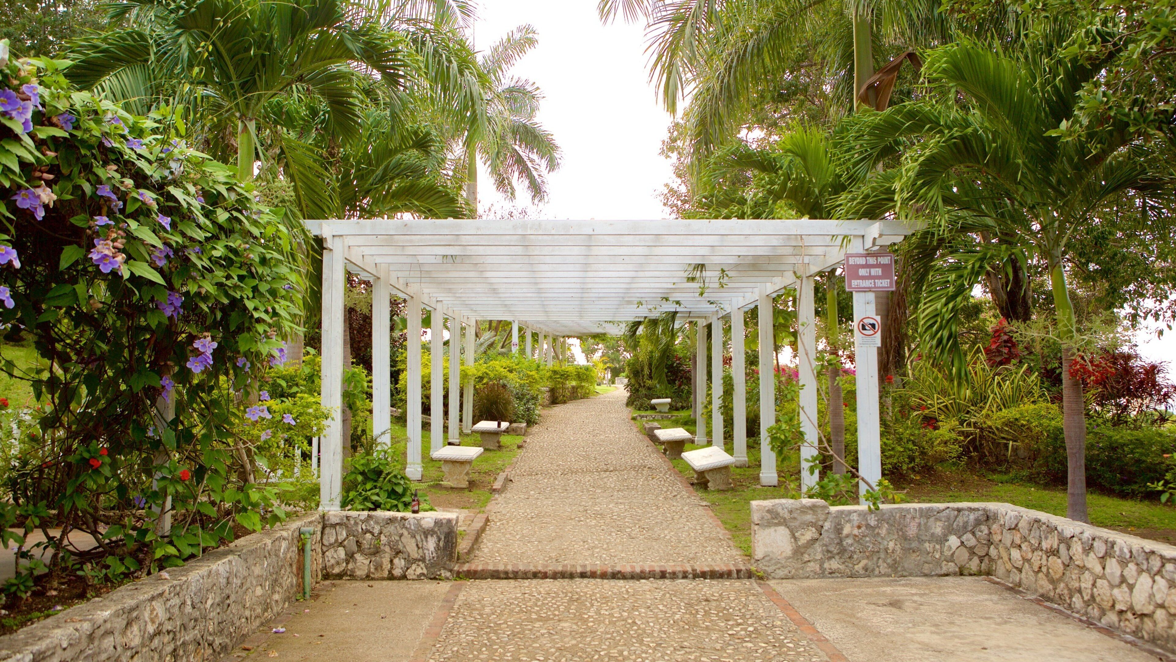 Caminho de jardim sob uma pérgula branca com paredes de pedra e plantas tropicais.