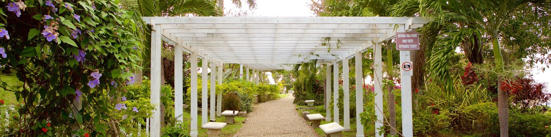 Caminho de jardim sob uma pérgula branca com paredes de pedra e plantas tropicais.