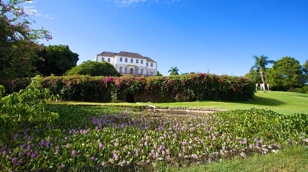 Gran casa Rose Hall mostrando flores, un jardín y patrimonio de arquitectura