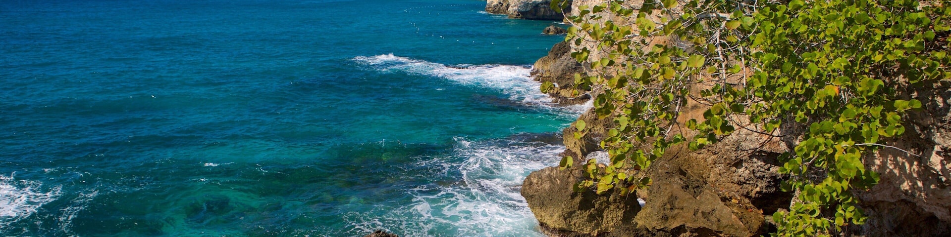 Negril Lighthouse featuring general coastal views and rocky coastline
