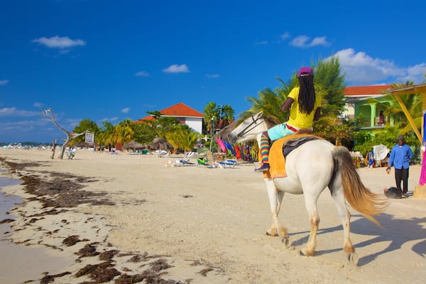 Seven Mile Beach featuring land animals and a beach as well as an individual female