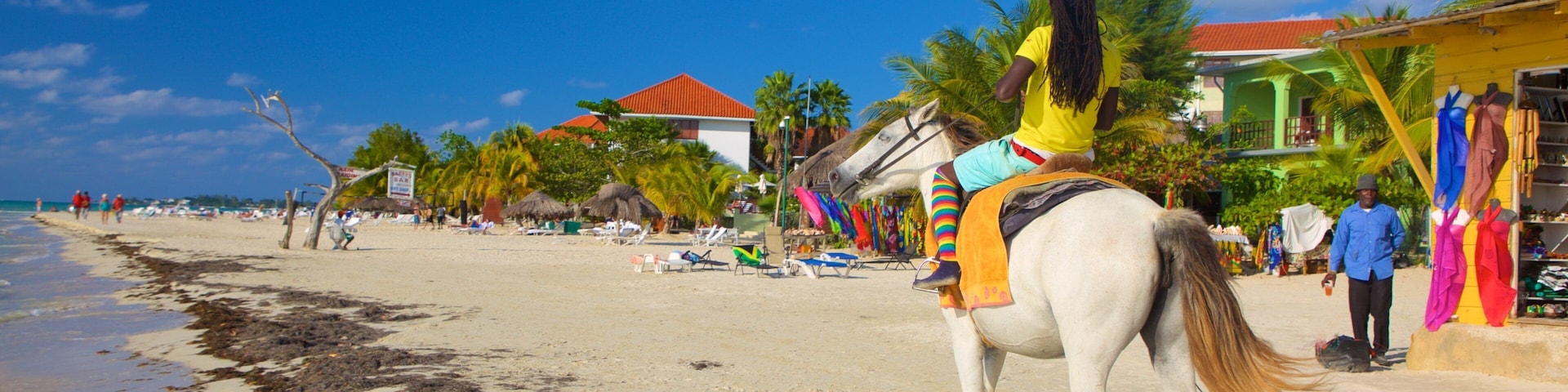Seven Mile Beach which includes a beach and land animals as well as an individual femail