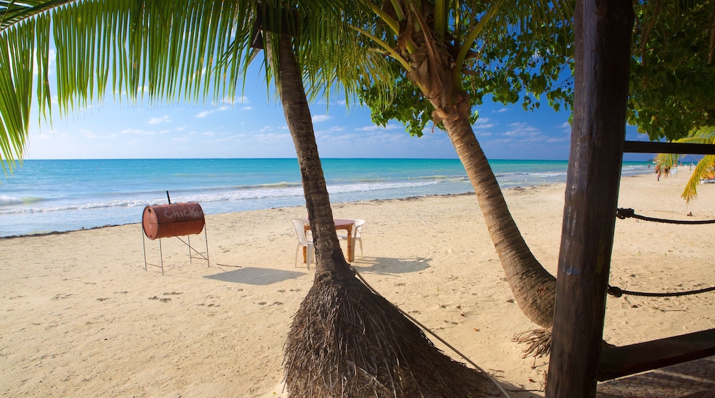 세븐마일비치 이 포함 해변