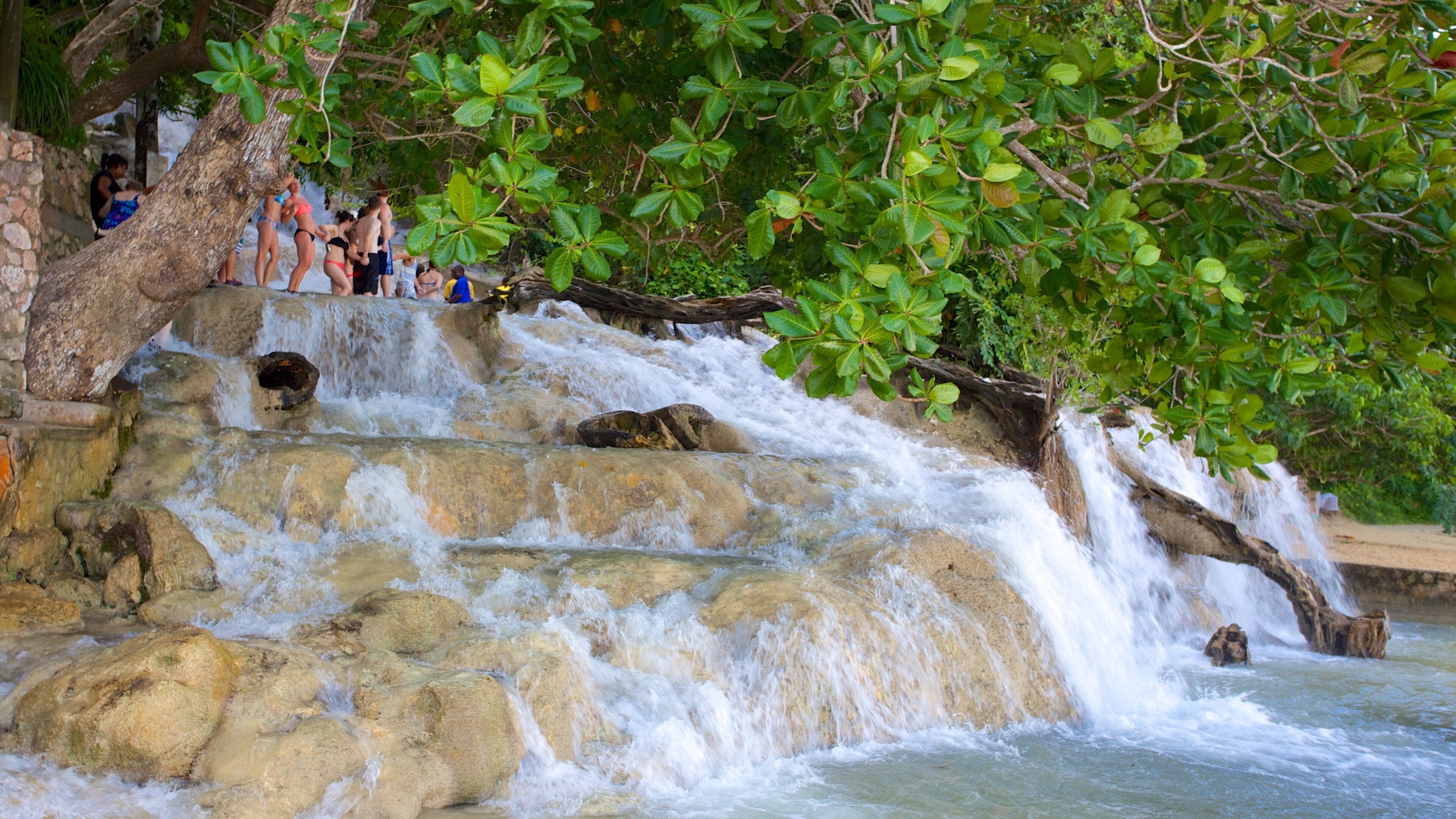 Dunn\'s River Falls featuring a cascade and rapids