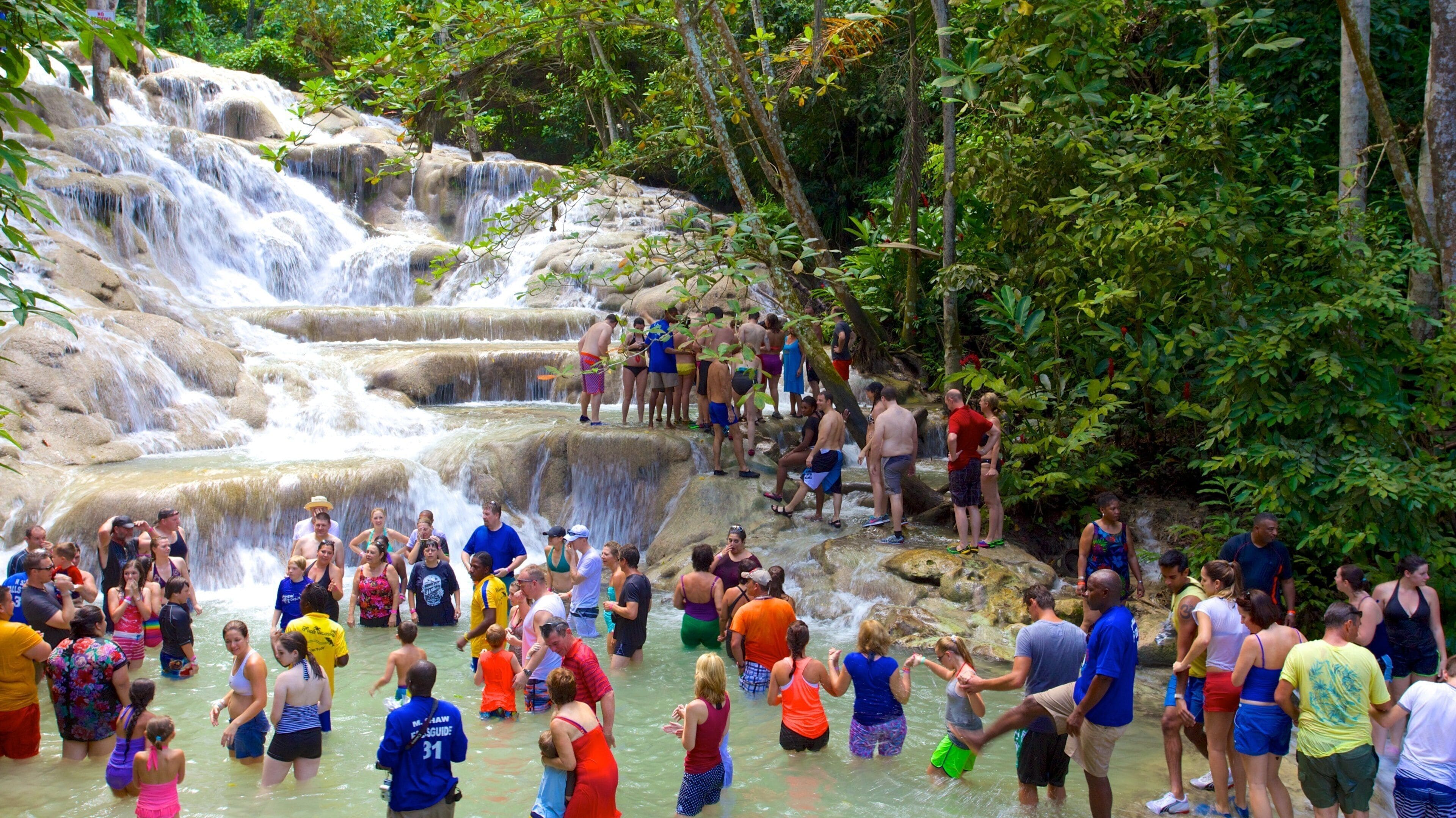 Dunn\'s River Falls which includes swimming and a cascade as well as a large group of people