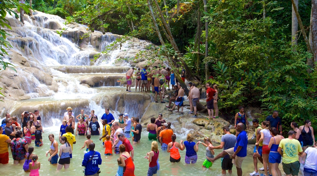 Dunn\'s River Falls which includes swimming and a cascade as well as a large group of people