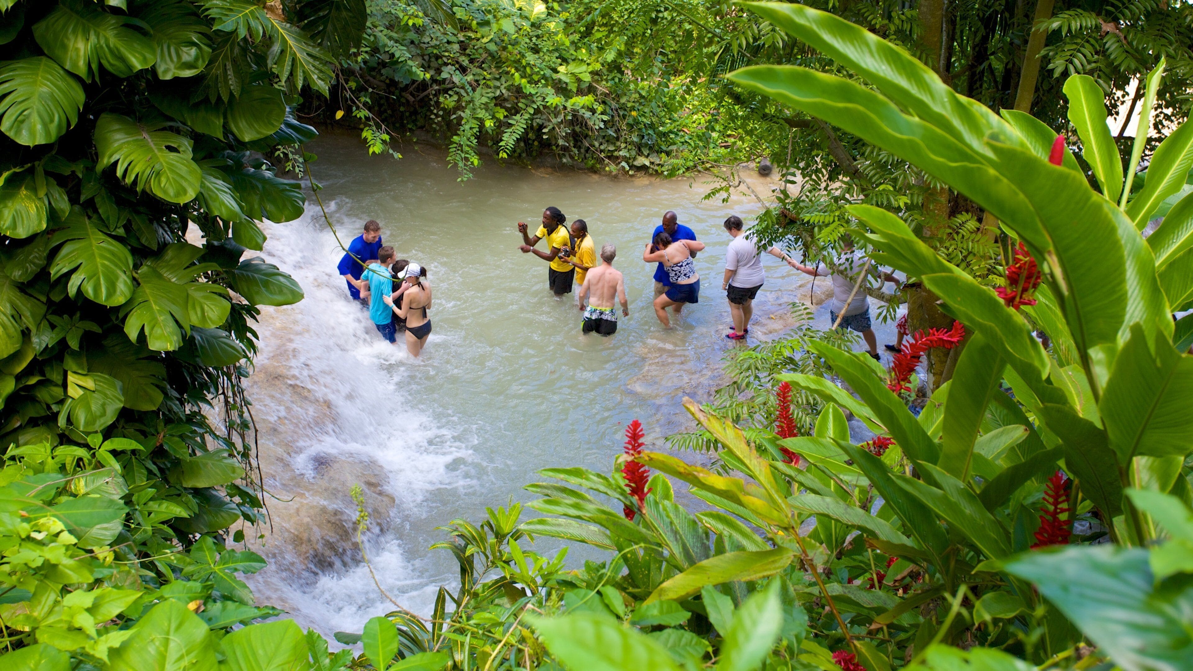 Dunn\'s River Falls featuring a waterfall, swimming and tropical scenes