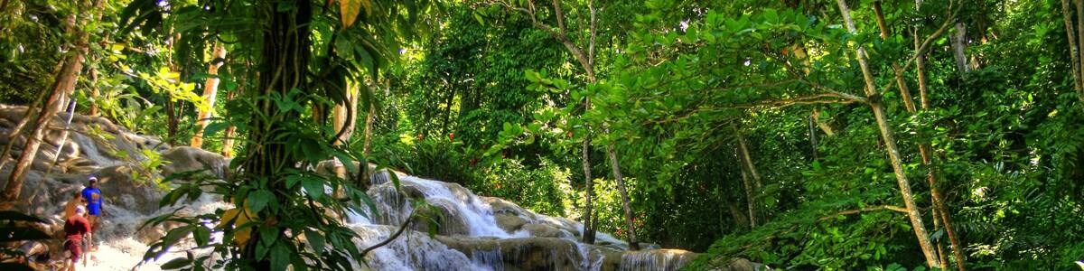 A multi-tiered waterfall surrounded by dense green foliage.