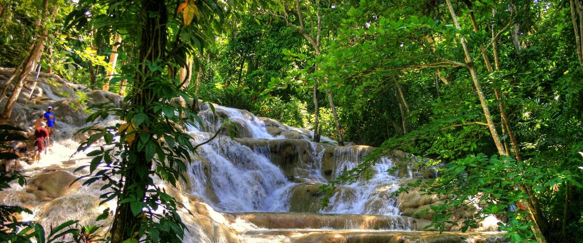 A multi-tiered waterfall surrounded by dense green foliage.