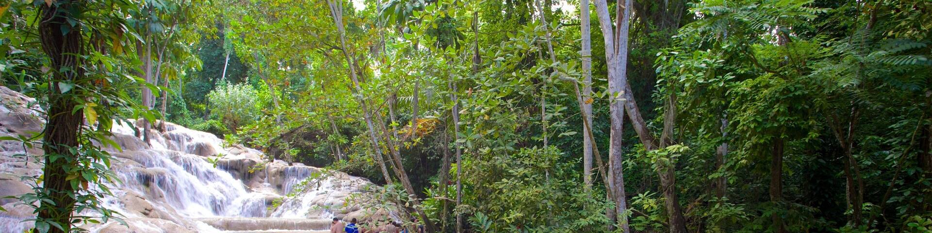 A waterfall in a forested area with people enjoying the water.