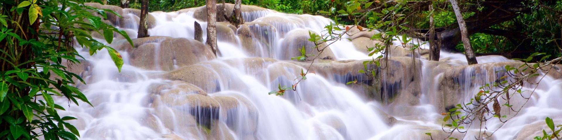 Dunn\'s River Falls which includes a cascade and rainforest
