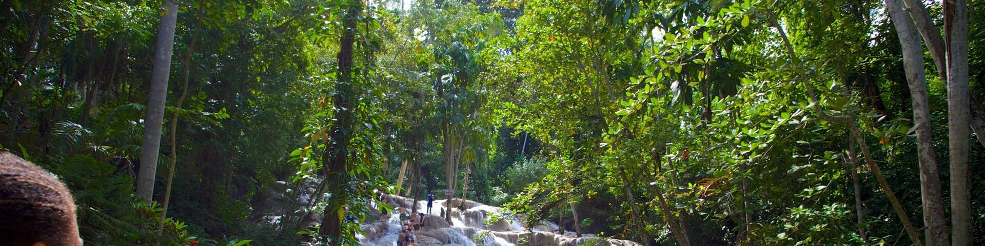 A waterfall in a forested area with people enjoying the water.