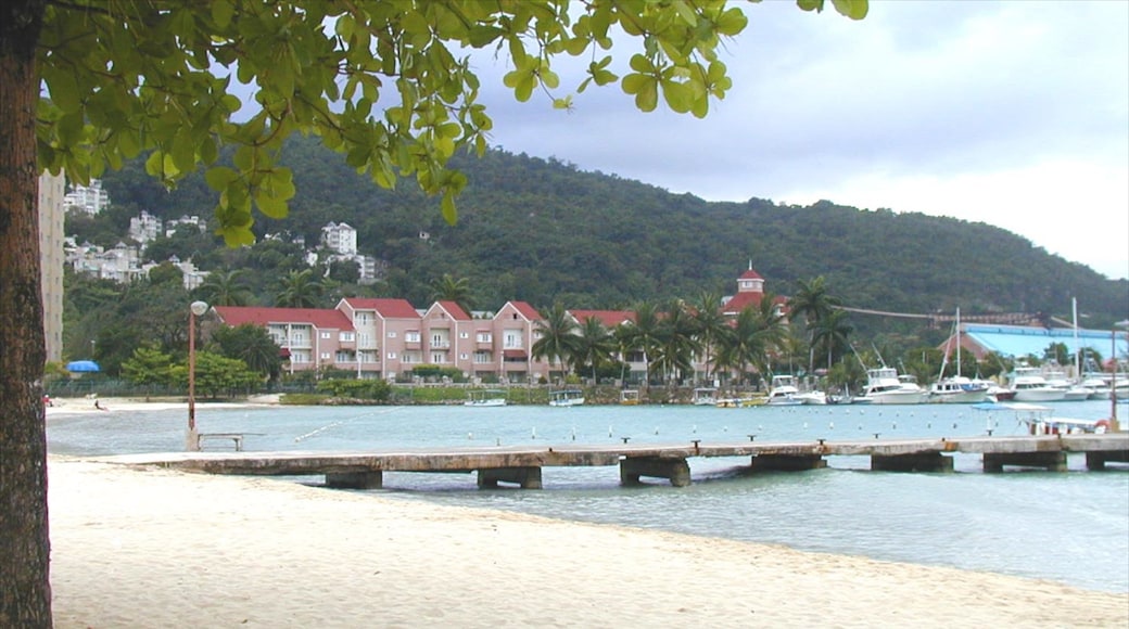 Turtle Beach fasiliteter samt sandstrand, tropisk landskap og bukt eller havn