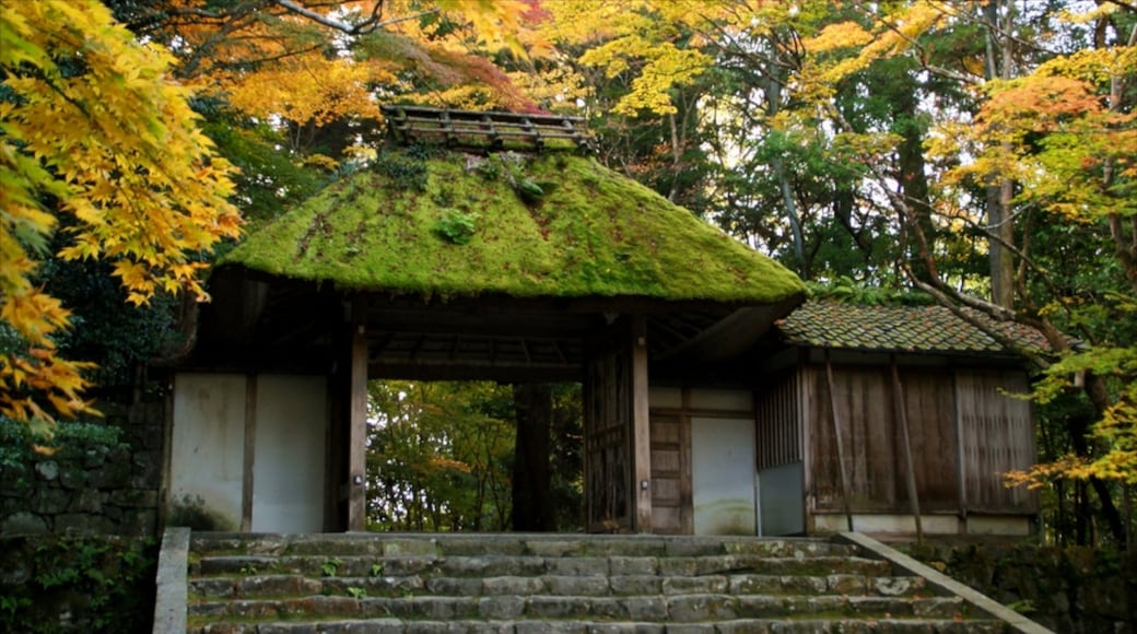 Honen-in-tempelet fasiliteter samt tempel eller hellig sted, religion og høstfarger