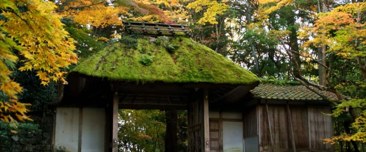 Templo Honen-in que incluye hojas de otoño, aspectos religiosos y un templo o lugar de culto