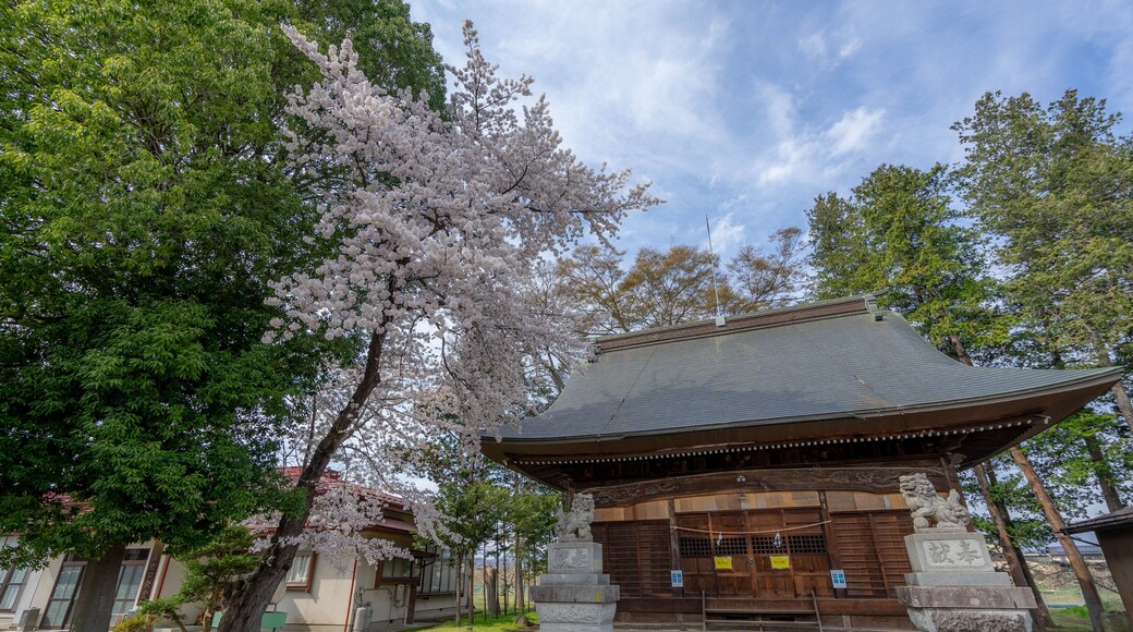 Instituto de Tecnología de Kyoto