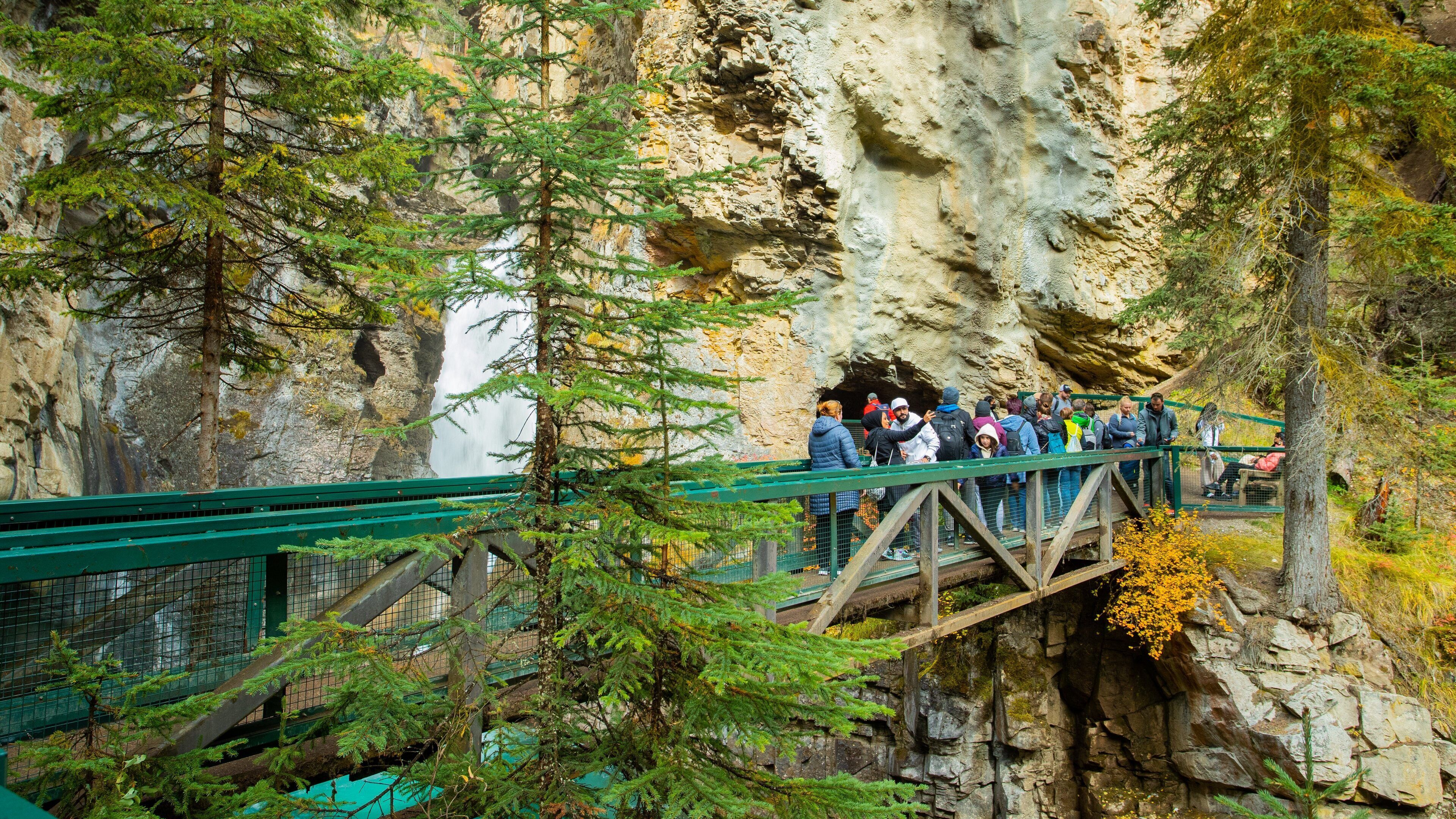 Johnston Canyon featuring a gorge or canyon, a waterfall and a bridge
