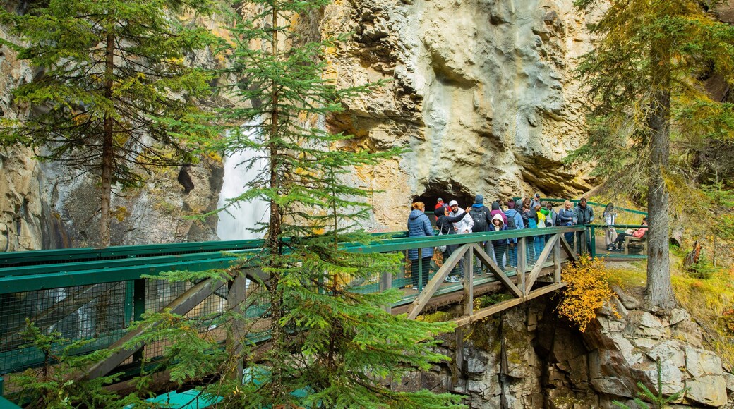 Johnston Canyon featuring a gorge or canyon, a waterfall and a bridge