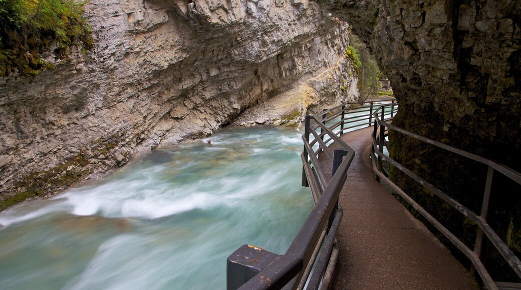 Johnston Canyon featuring a river or creek, rapids and landscape views