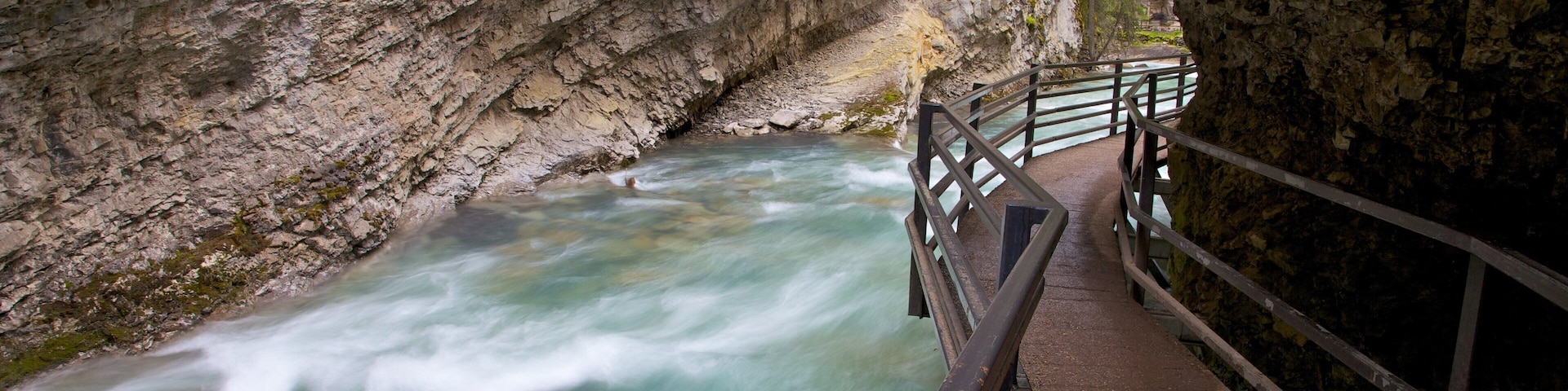 Johnston Canyon featuring a river or creek, rapids and landscape views